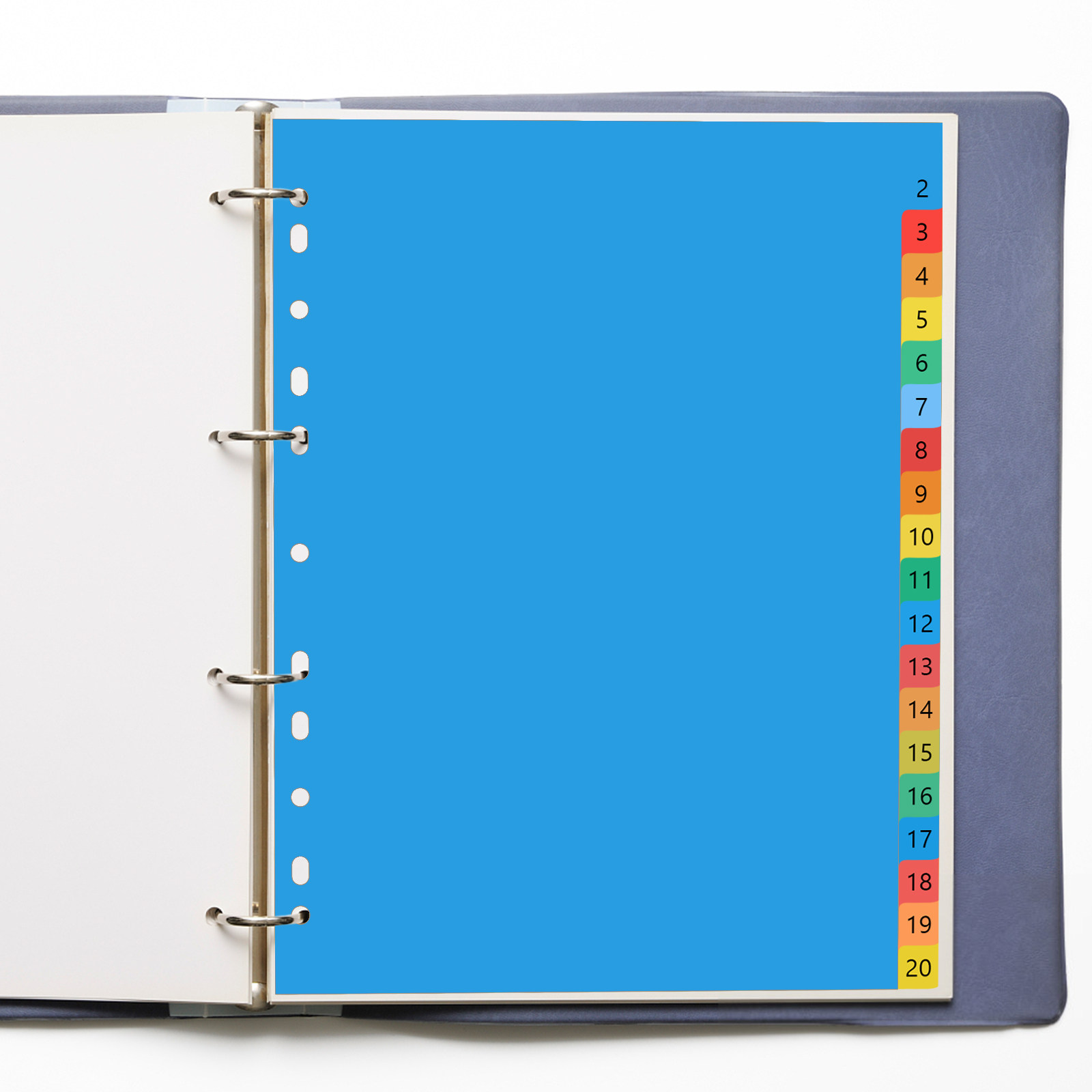 Tab Divider A4 - แผ่นแบ่งหมวดหมู่พลาสติกสีสันสดใสขนาด A4 สำหรับแฟ้มโน้ตบุ๊ค วัสดุแข็งแรงป้องกันการงอ