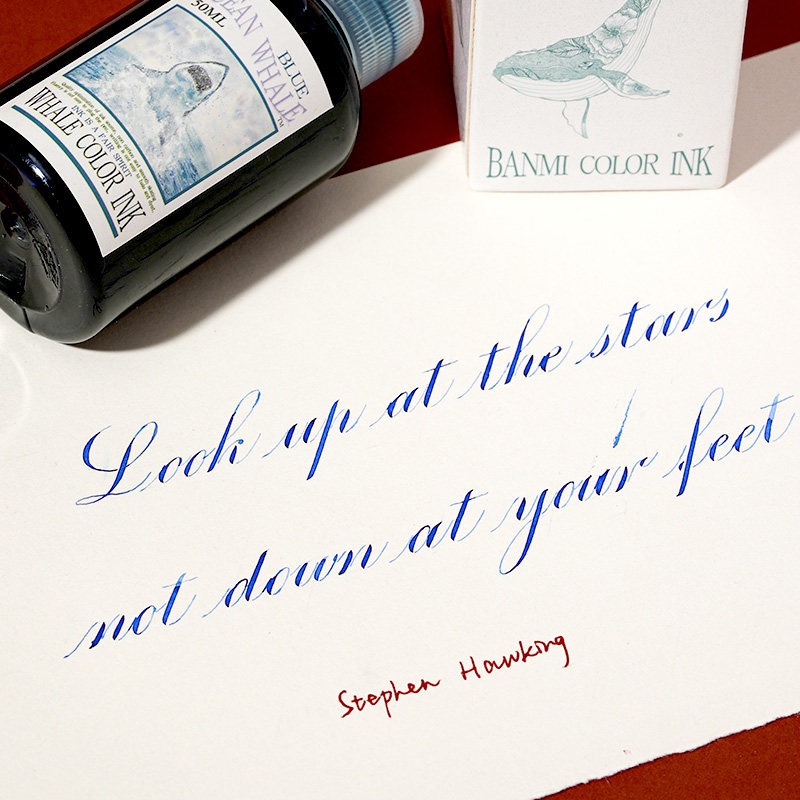 ปากกาหมึกซึม Banmi Whale Serie - Fountain Pen Bottled Ink บทวิจารณ์และราคา